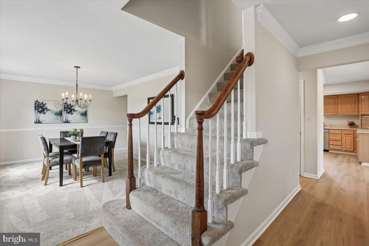 WILLIAMSBURG VILLAGE - Residential