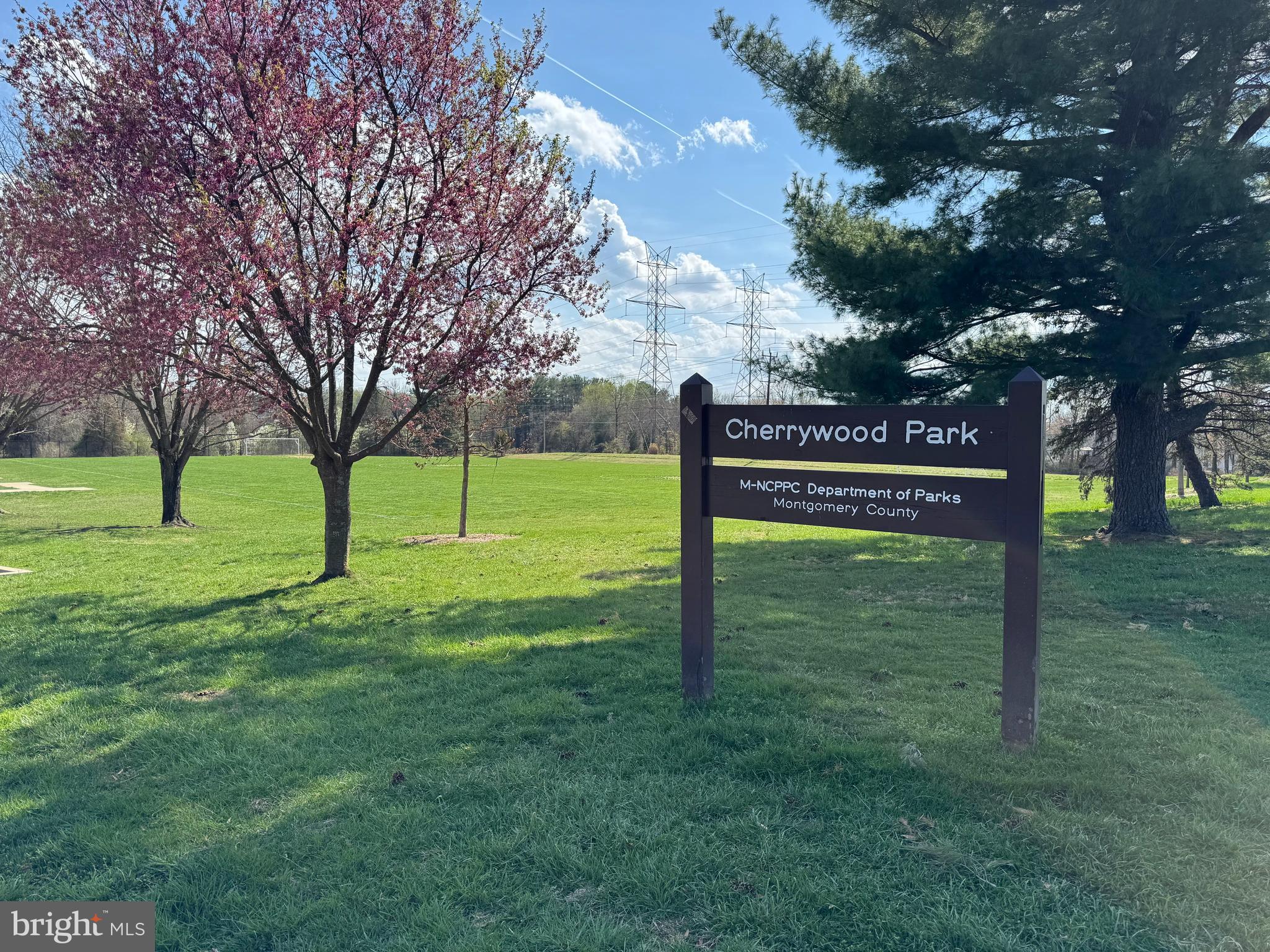 WILLIAMSBURG VILLAGE - Residential