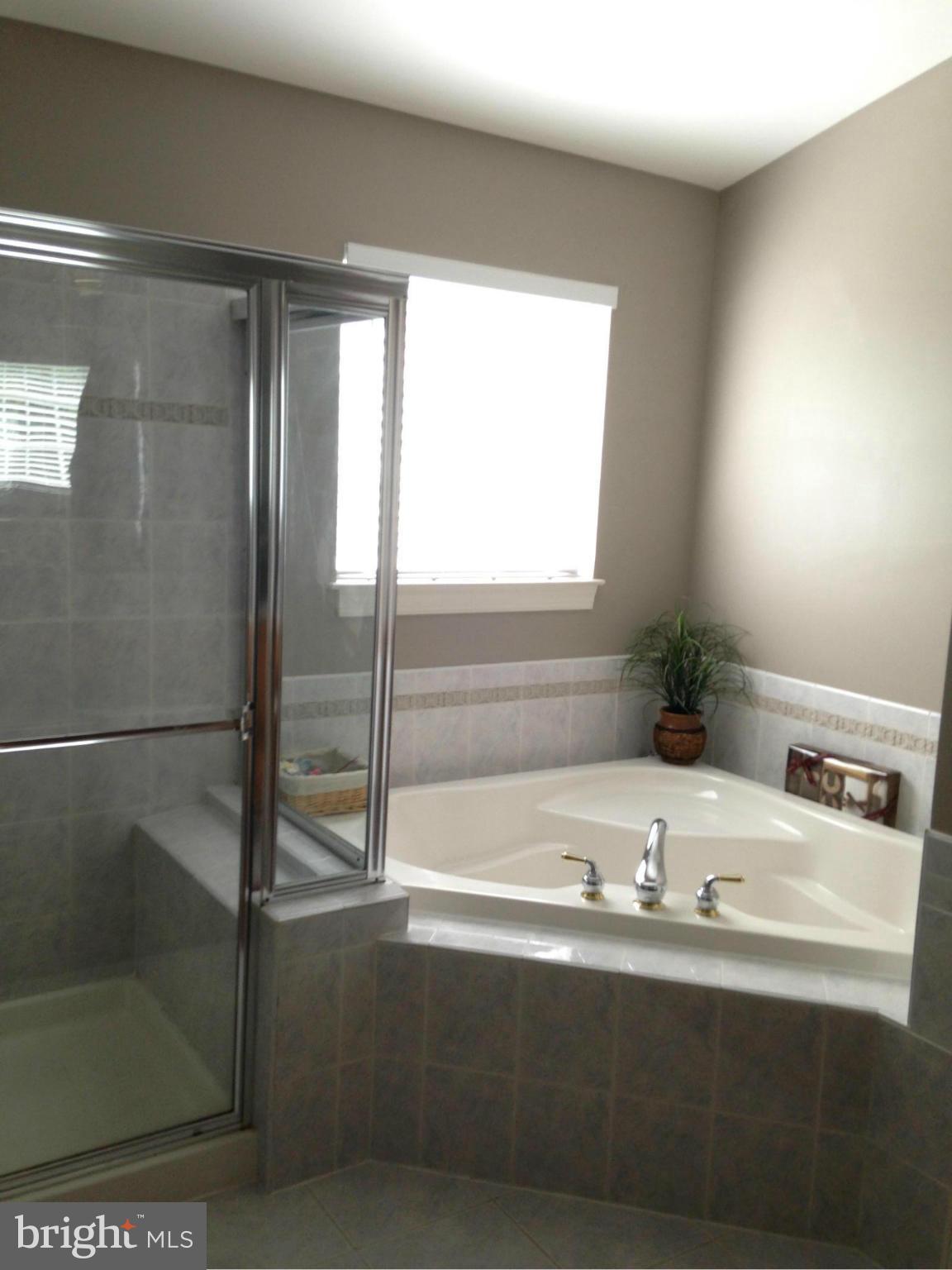 BEECH TREE EAST VILLAGE - Residential