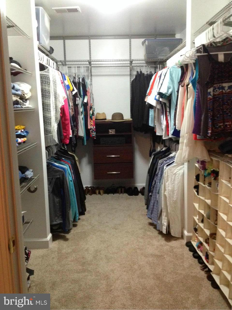 BEECH TREE EAST VILLAGE - Residential