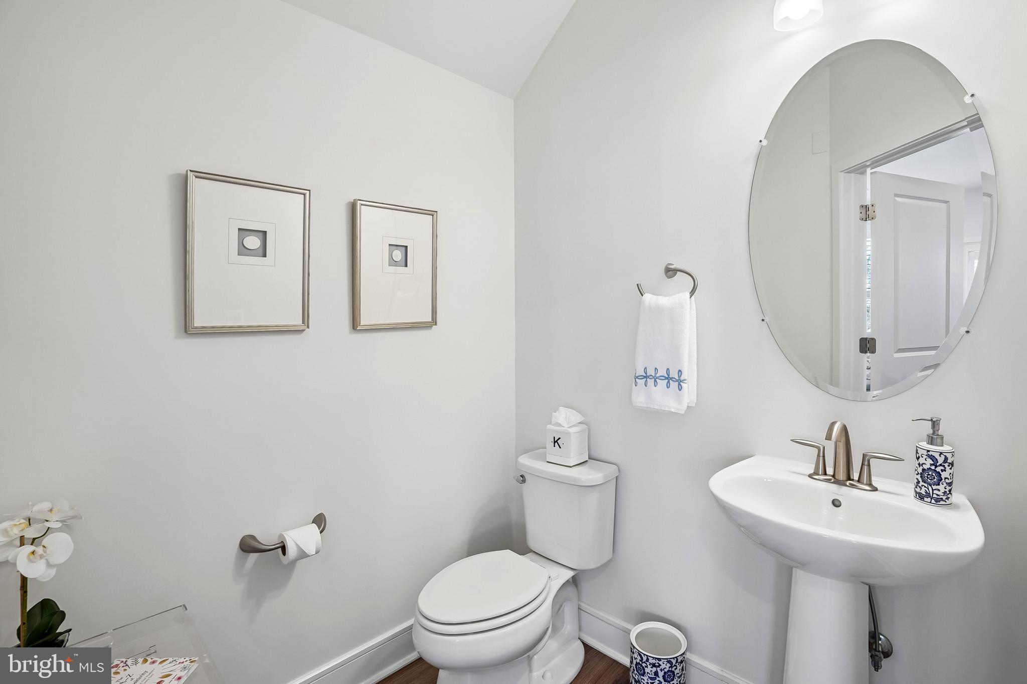 BIRCHWOOD AT BRAMBLETON - Residential