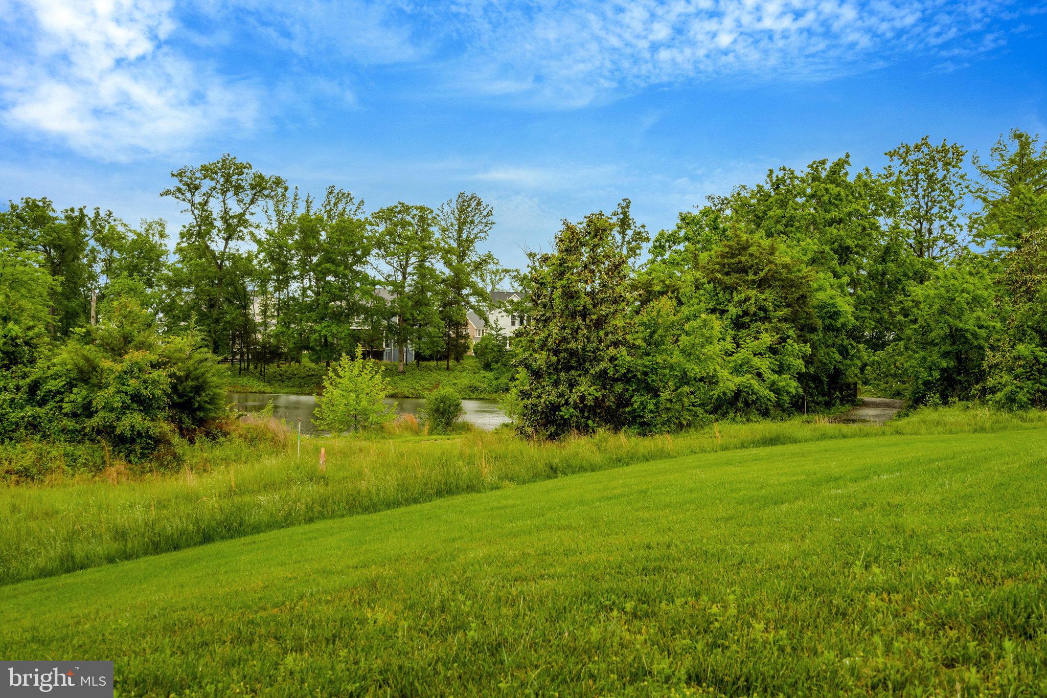 GROVE AT WILLOWSFORD - Residential