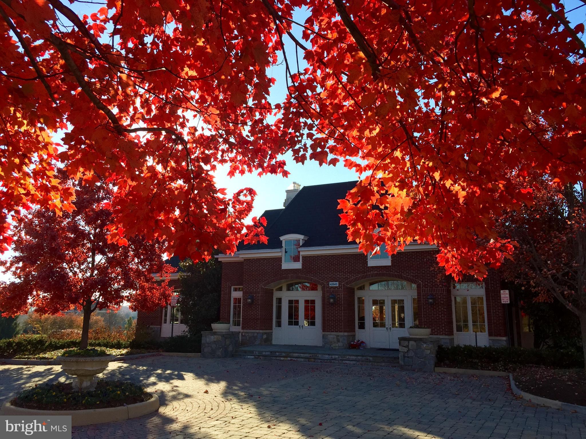 BRAMBLETON - Residential