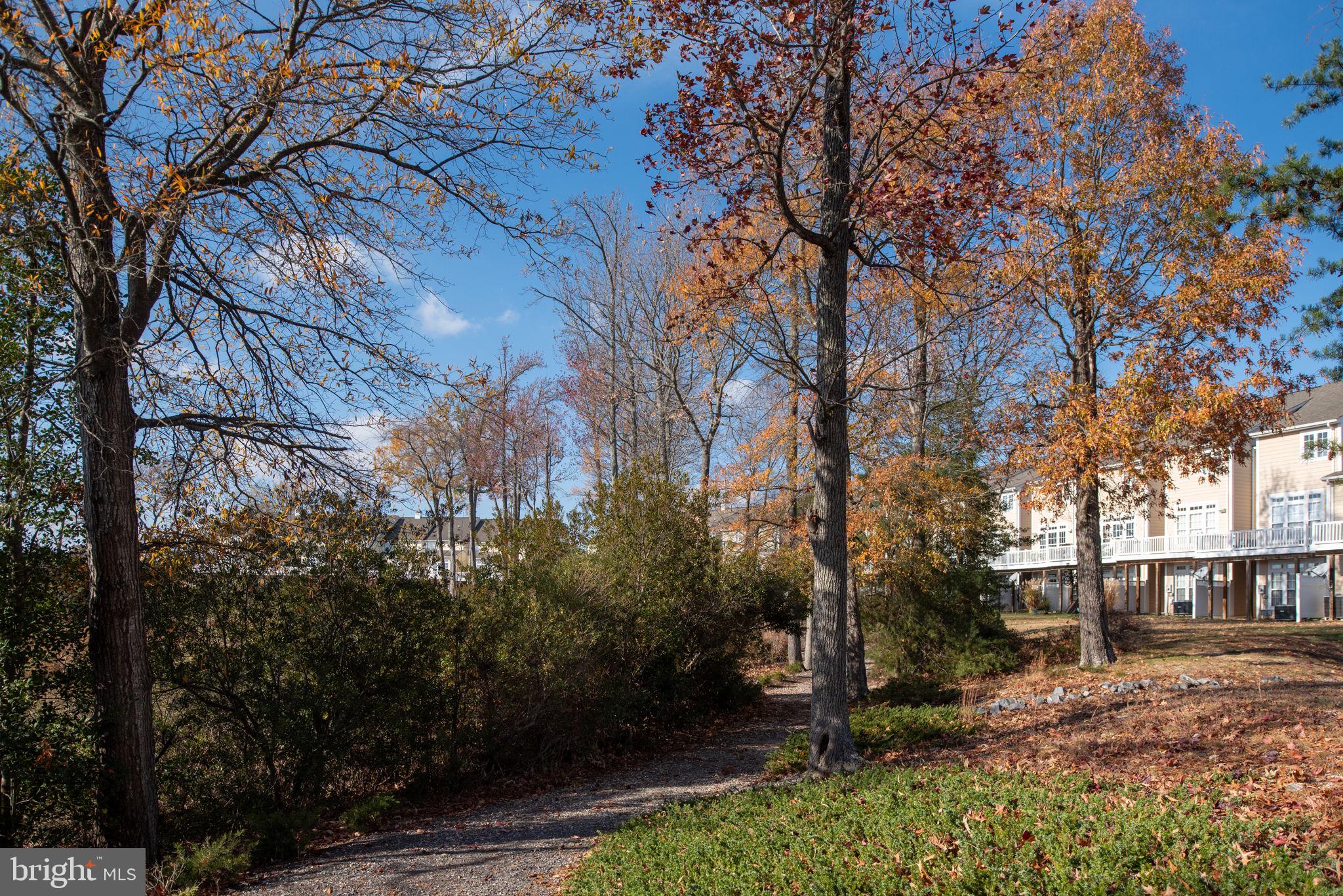 MONROE POINT - Residential