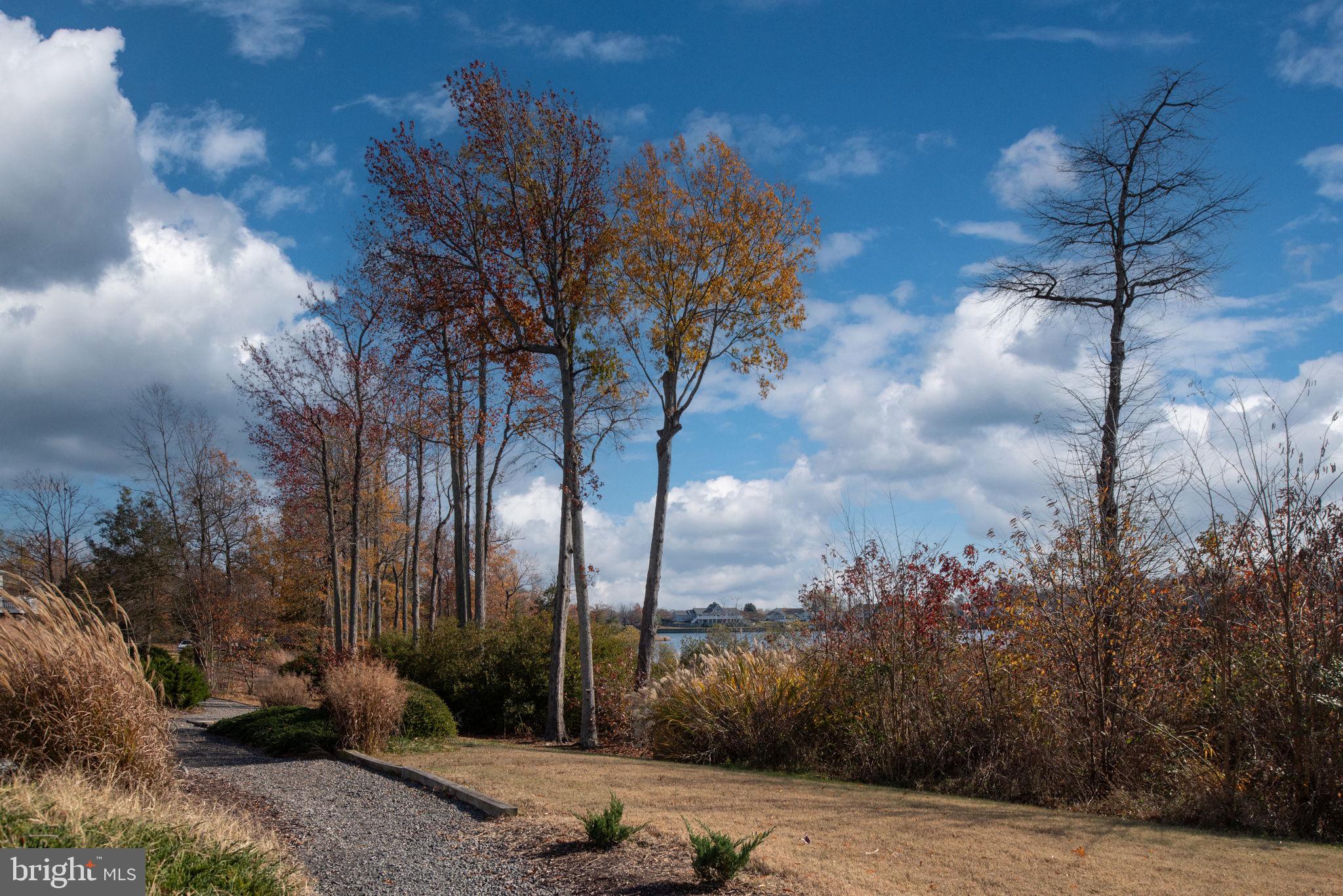MONROE POINT - Residential