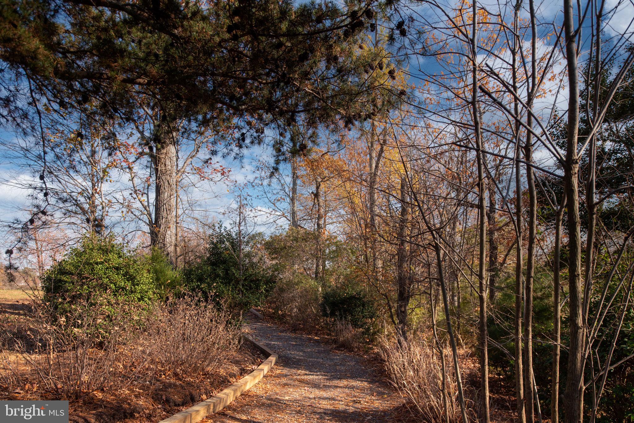 MONROE POINT - Residential