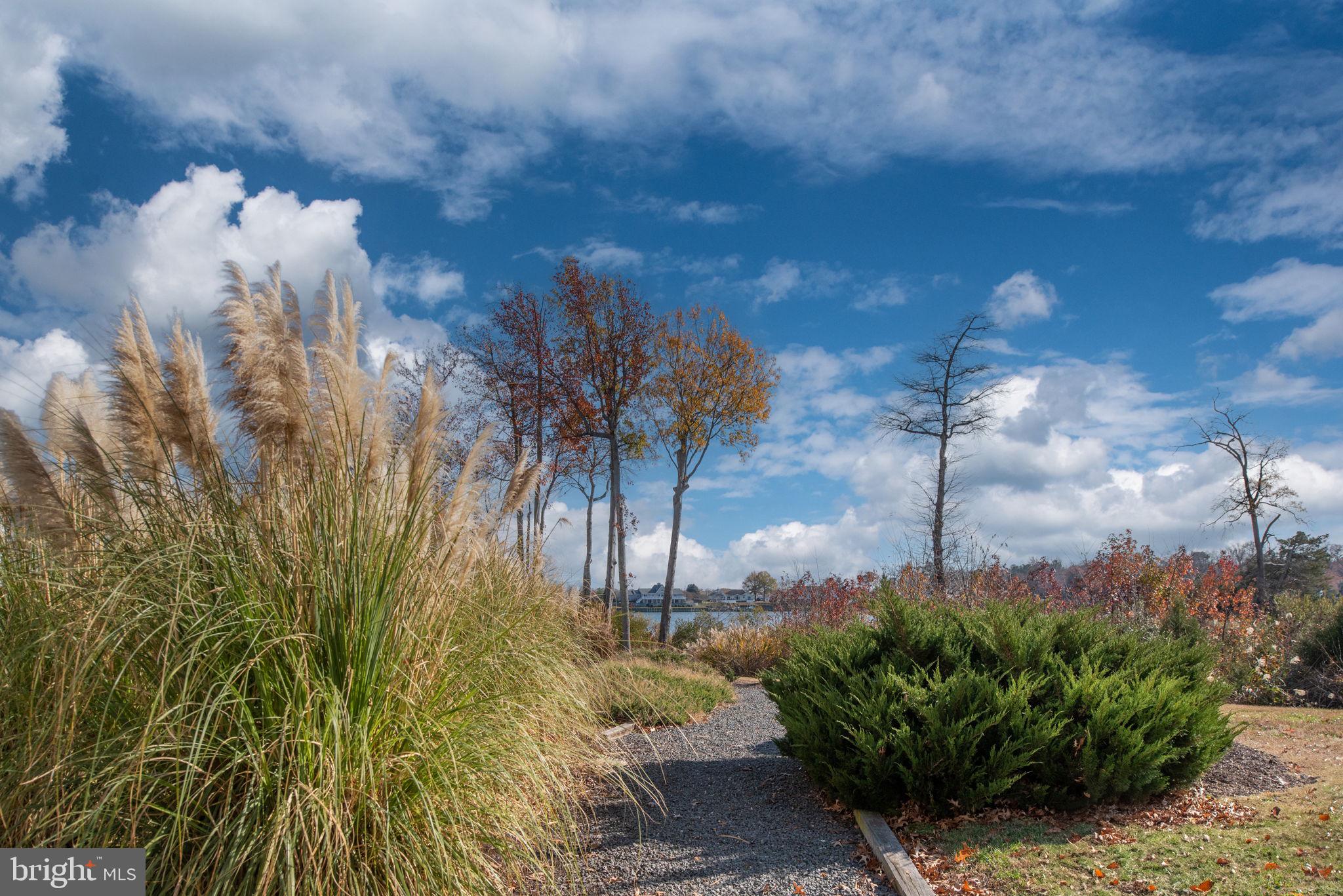 MONROE POINT - Residential