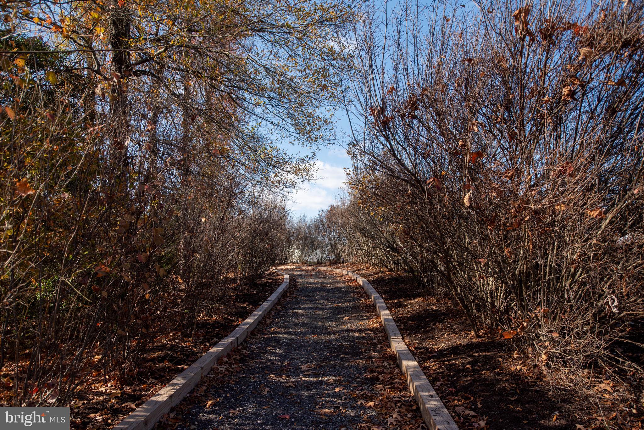 MONROE POINT - Residential