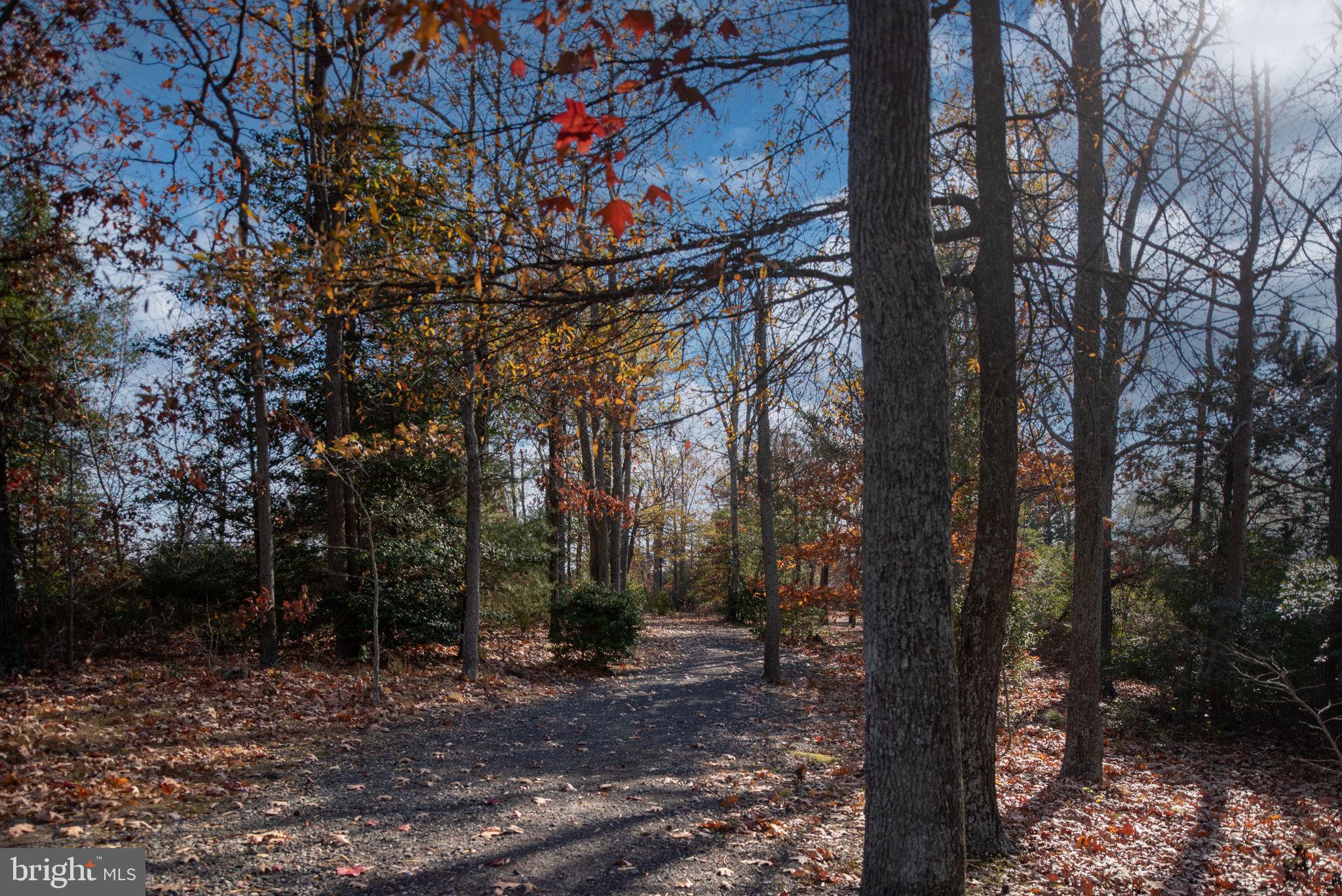MONROE POINT - Residential