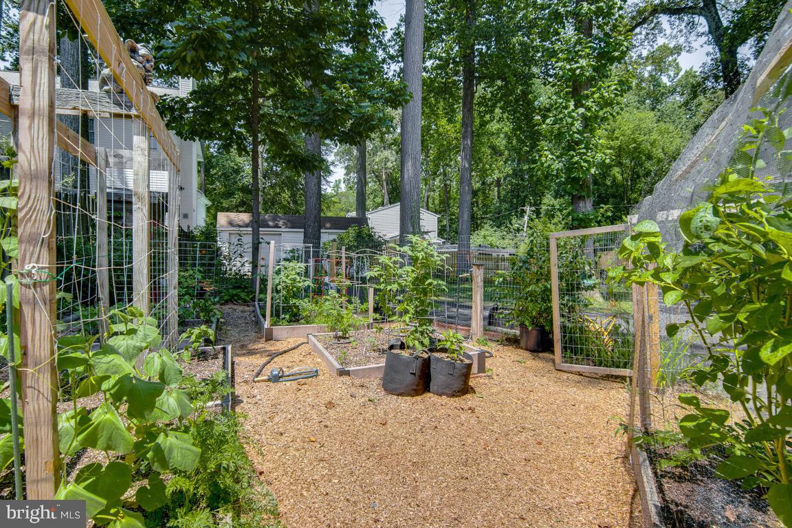 HERALD HARBOR - Residential