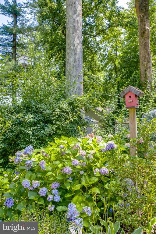 HERALD HARBOR - Residential