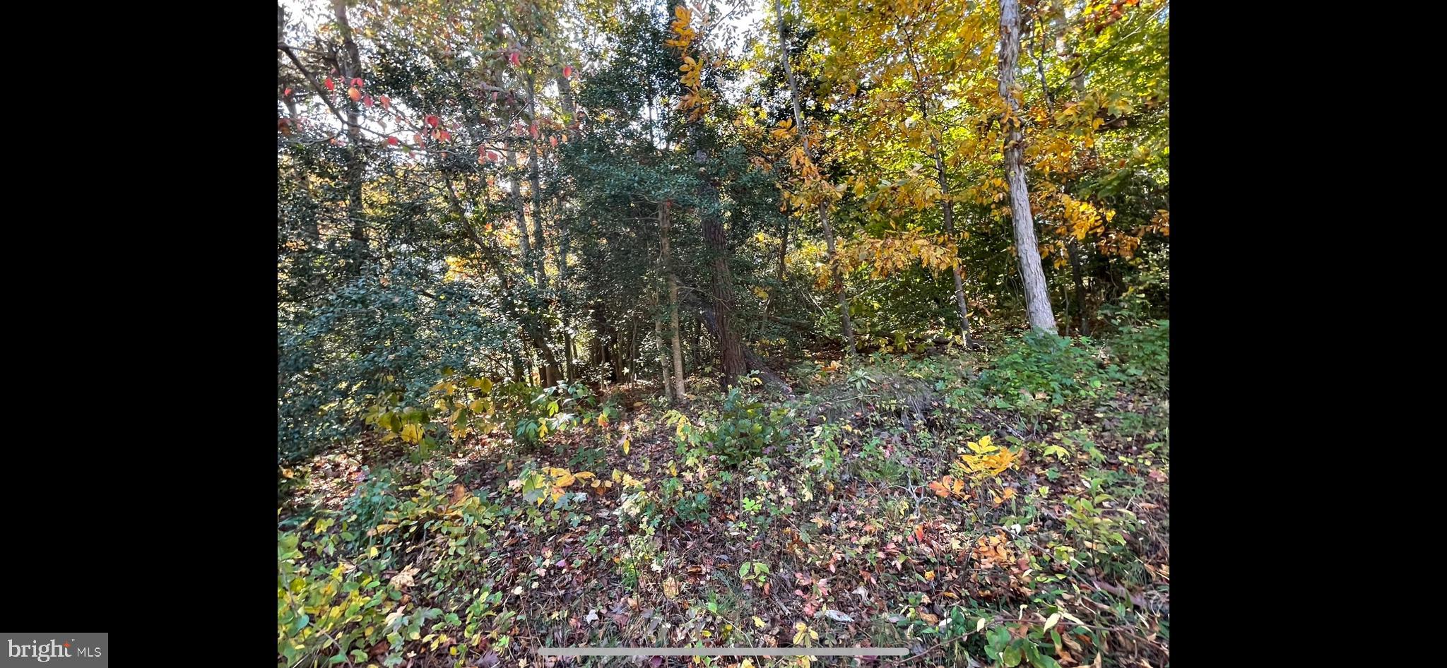 Seize the chance to own a piece of paradise with this stunning .65-acre wooded lot, an oasis of tranquility just a short drive from the breathtaking waterfront of the Chesapeake bay, and to Flag Harbor Marina. Bring your own builder to build your dream home in this sub division. For example the neighboring lot at 5853 is similar in size and supports a a 2300 SQFT home. The property supports a water hook up costing approximately $5500 as well as electricity is available.