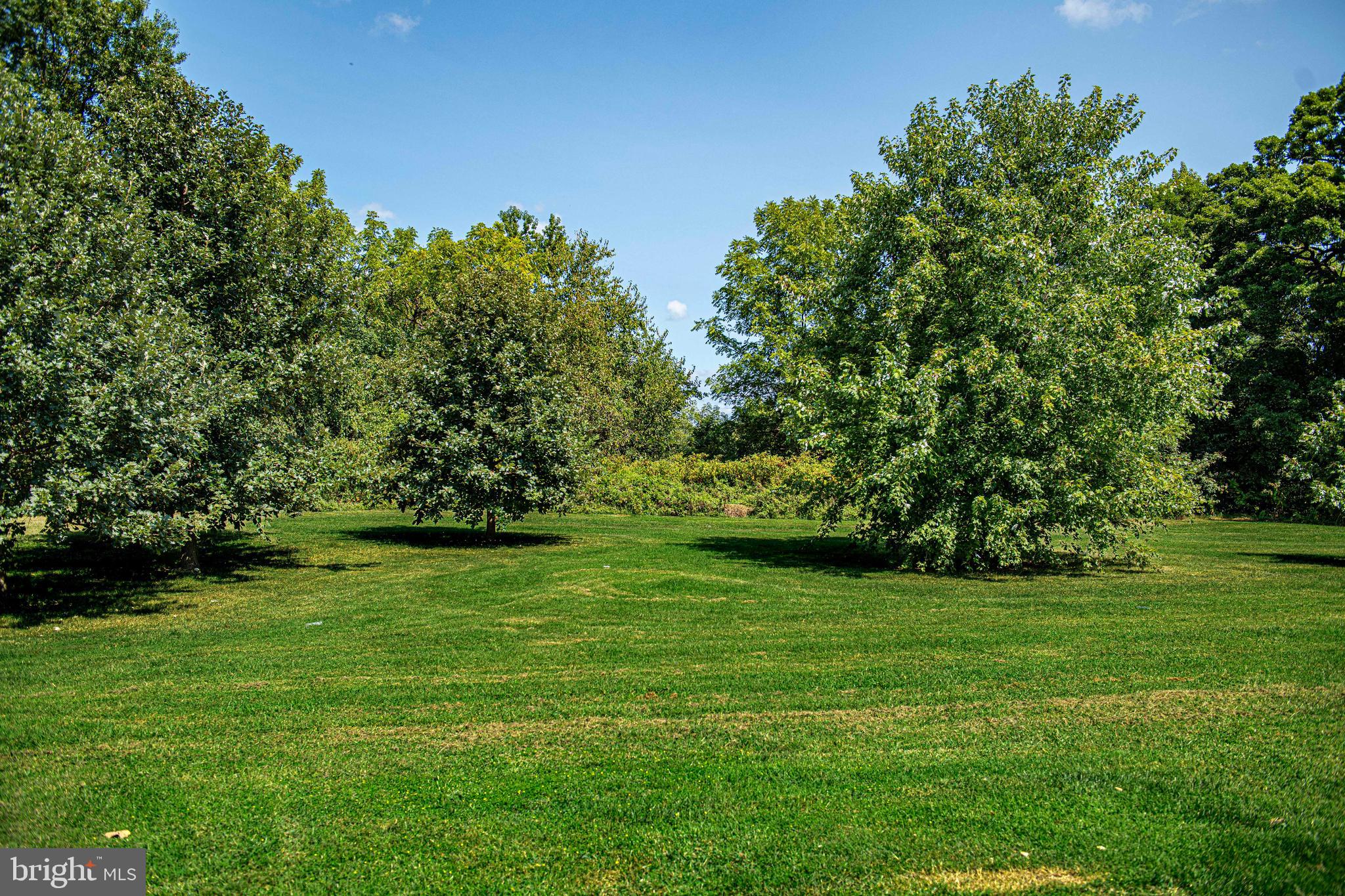 GRAY HAVEN - Residential