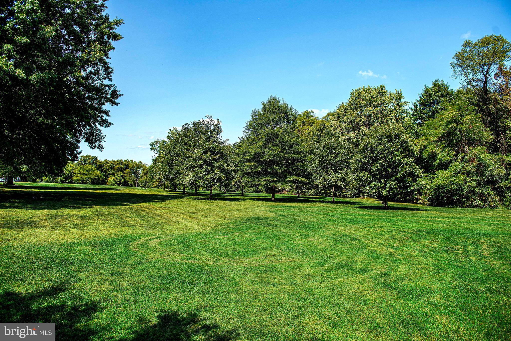 GRAY HAVEN - Residential