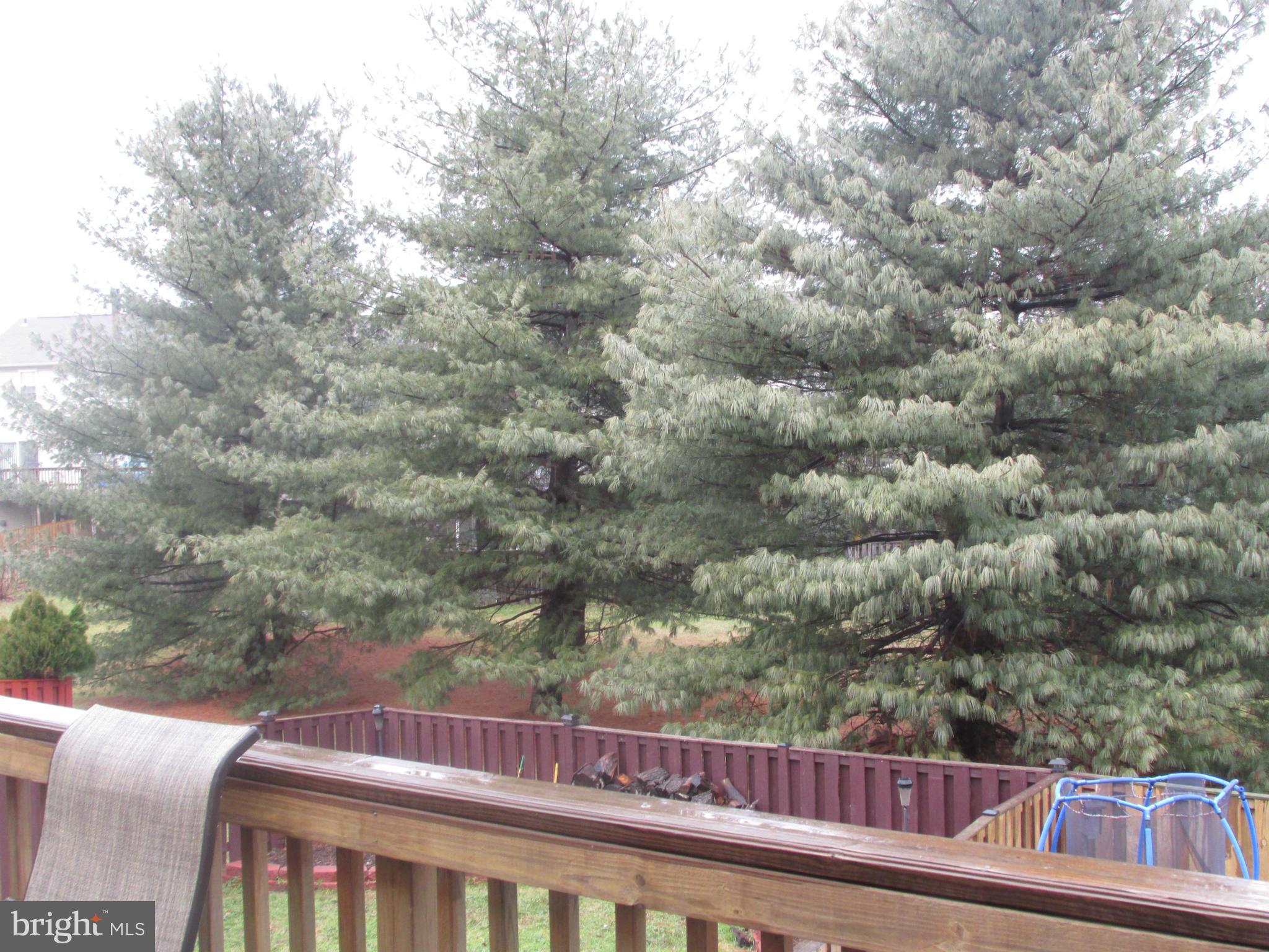 ELIZABETHS LANDING - Residential