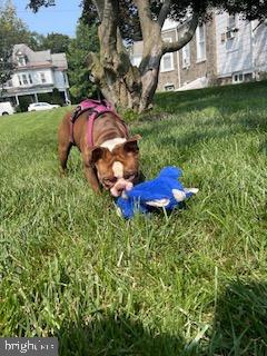 EAST OAK LANE - Residential Income