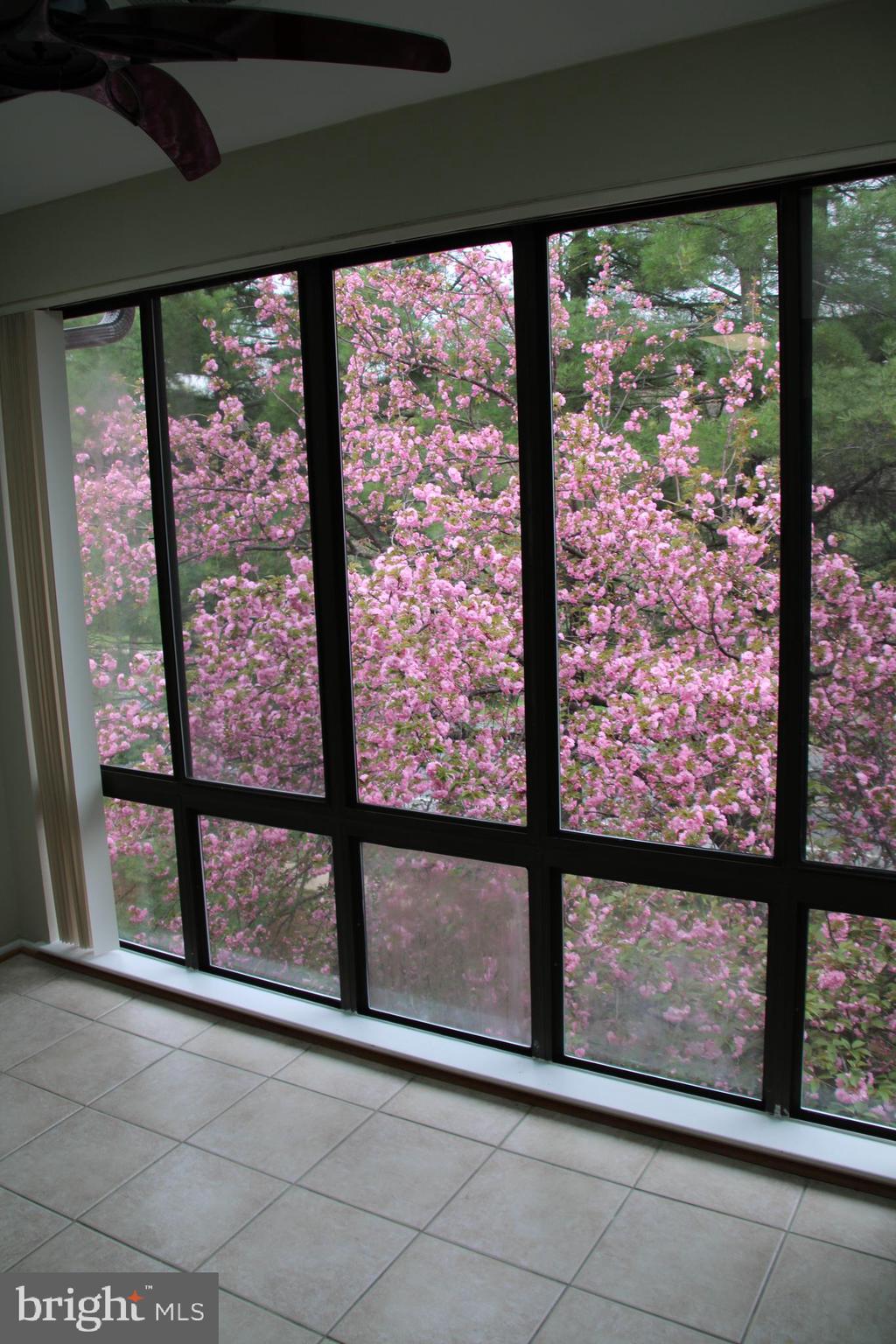 MALLARD COVE CONDOMINIUMS - Residential Lease