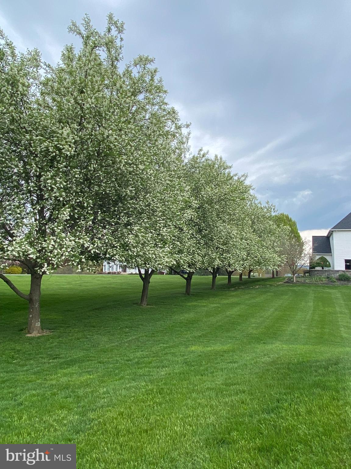 DAUPHIN COUNTY - Residential