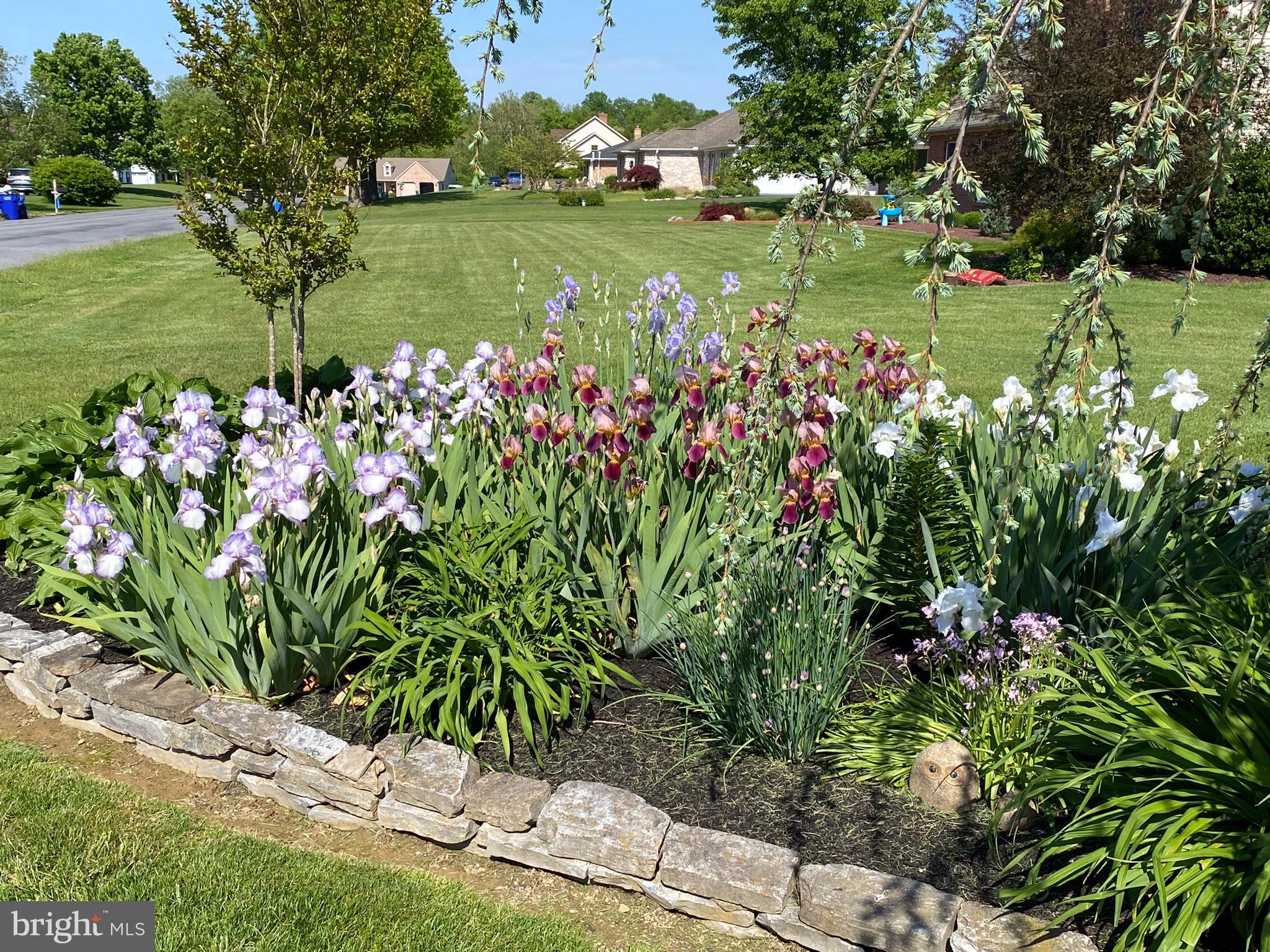 DAUPHIN COUNTY - Residential