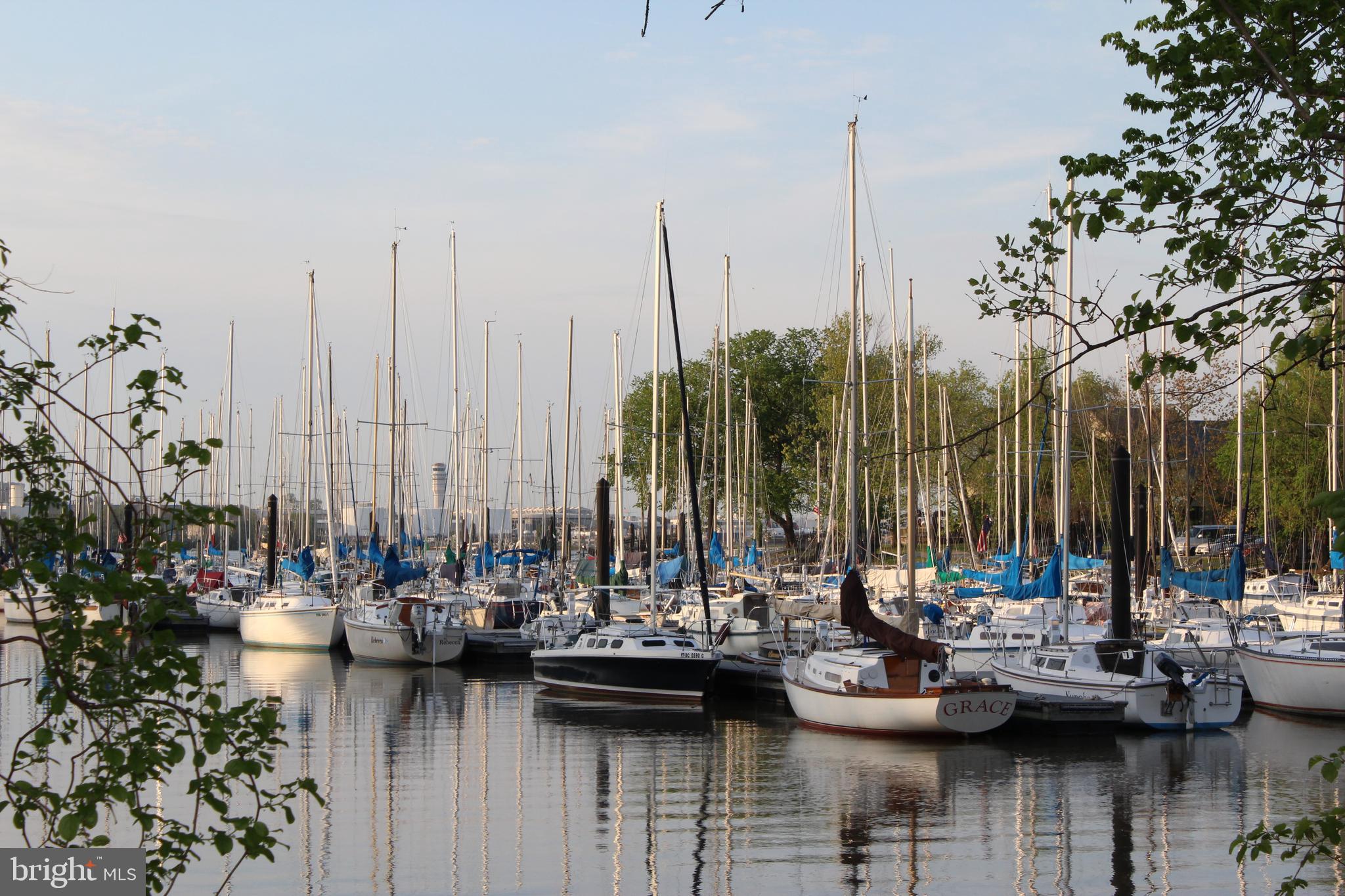 WAYNEWOOD - Residential