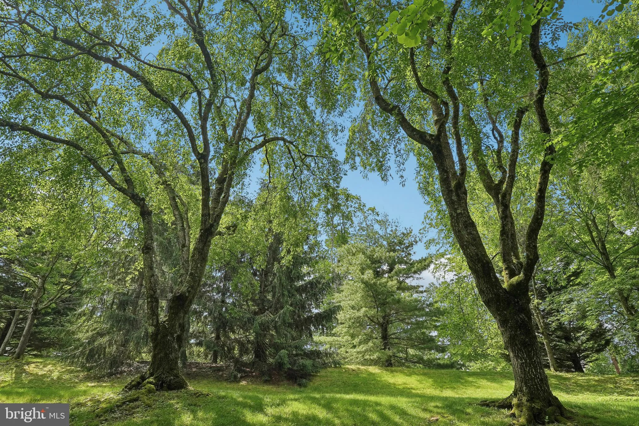 Devon, Pennsylvania 19333, United States, 3 Bedrooms Bedrooms, ,3 BathroomsBathrooms,Residential,Active,144144