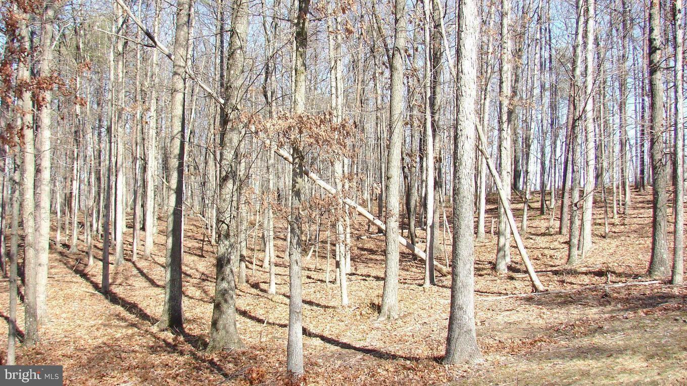 TWIN LAKES EAST - Land