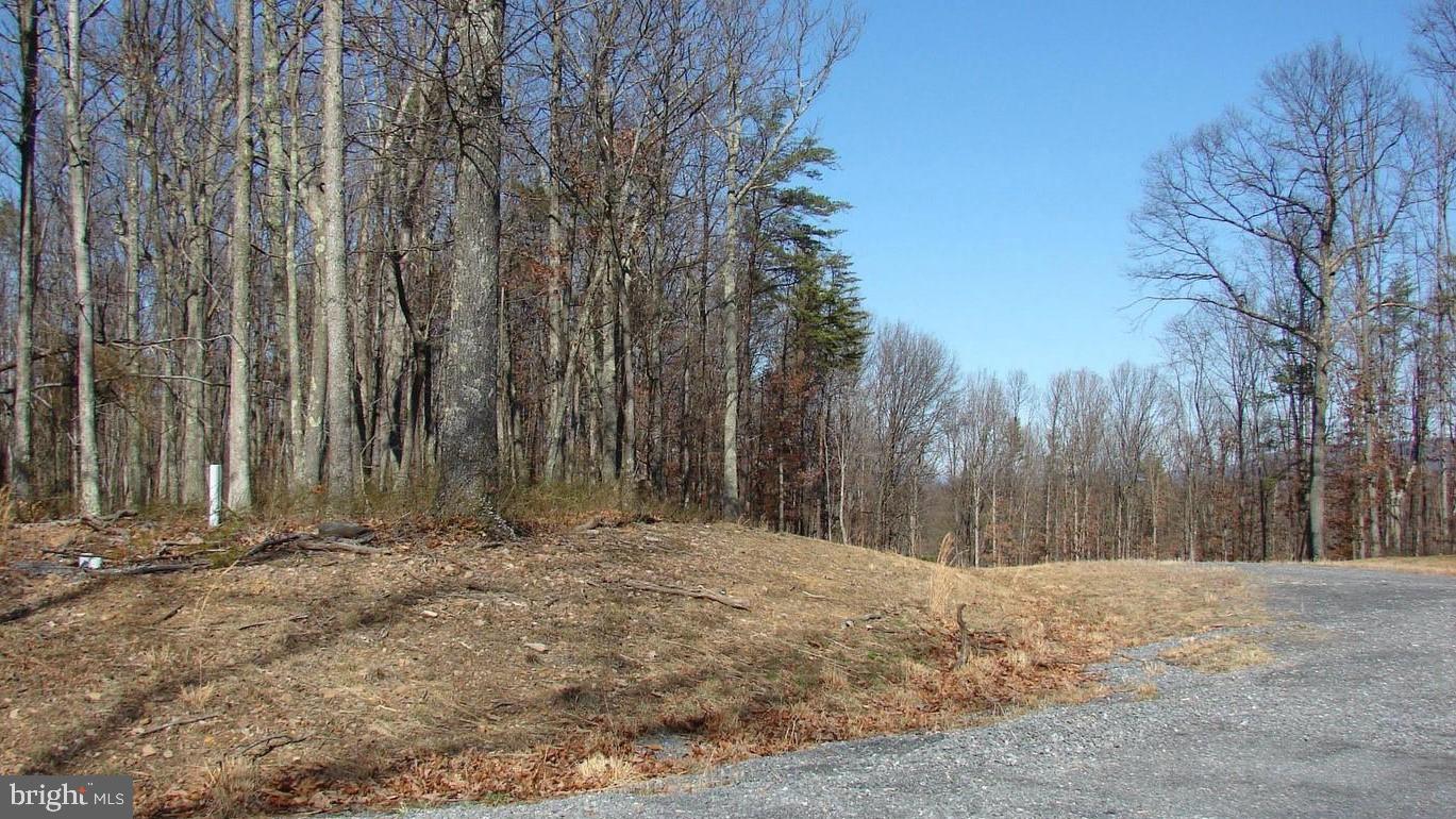 TWIN LAKES EAST - Land