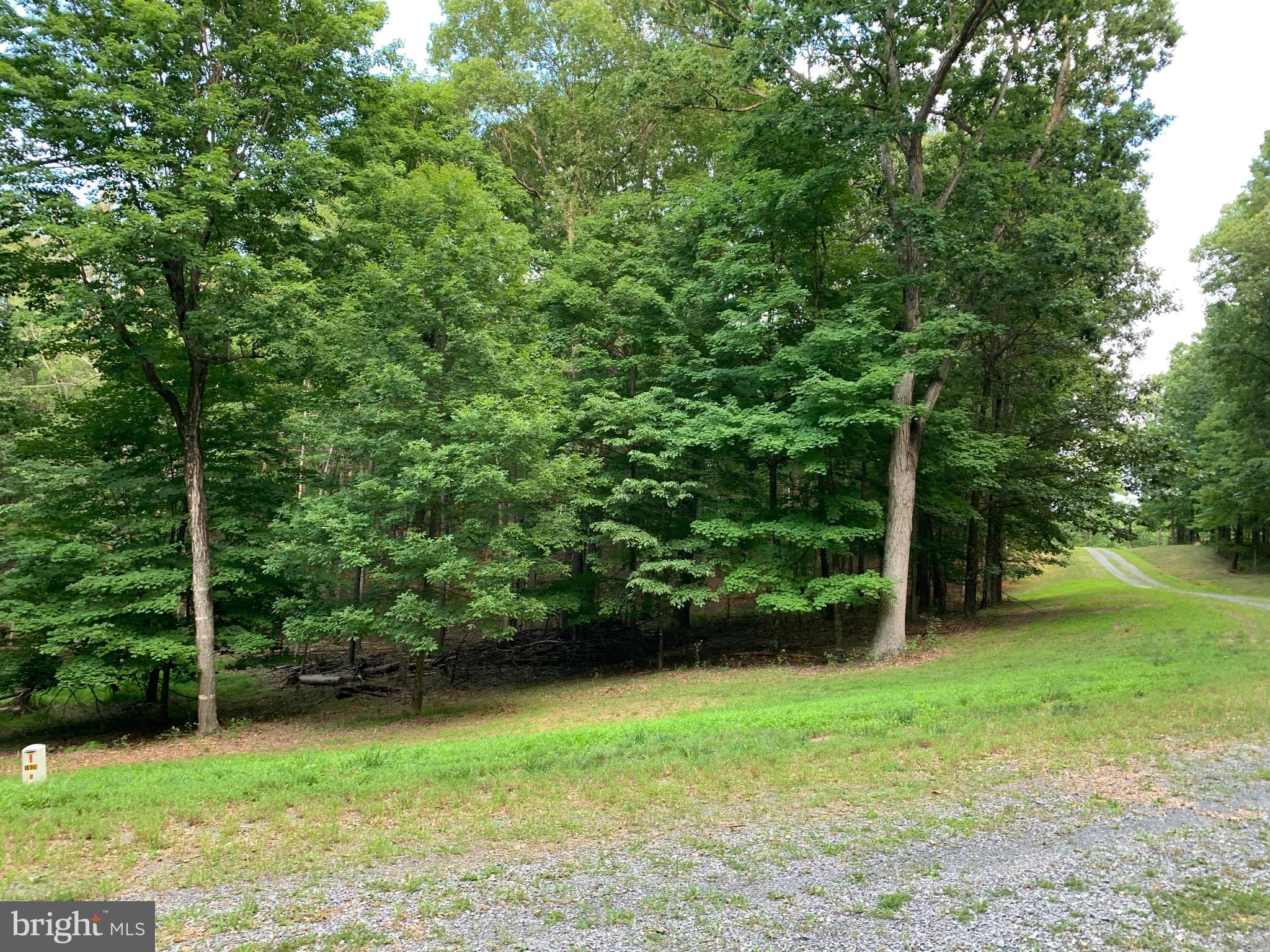 TWIN LAKES EAST - Land