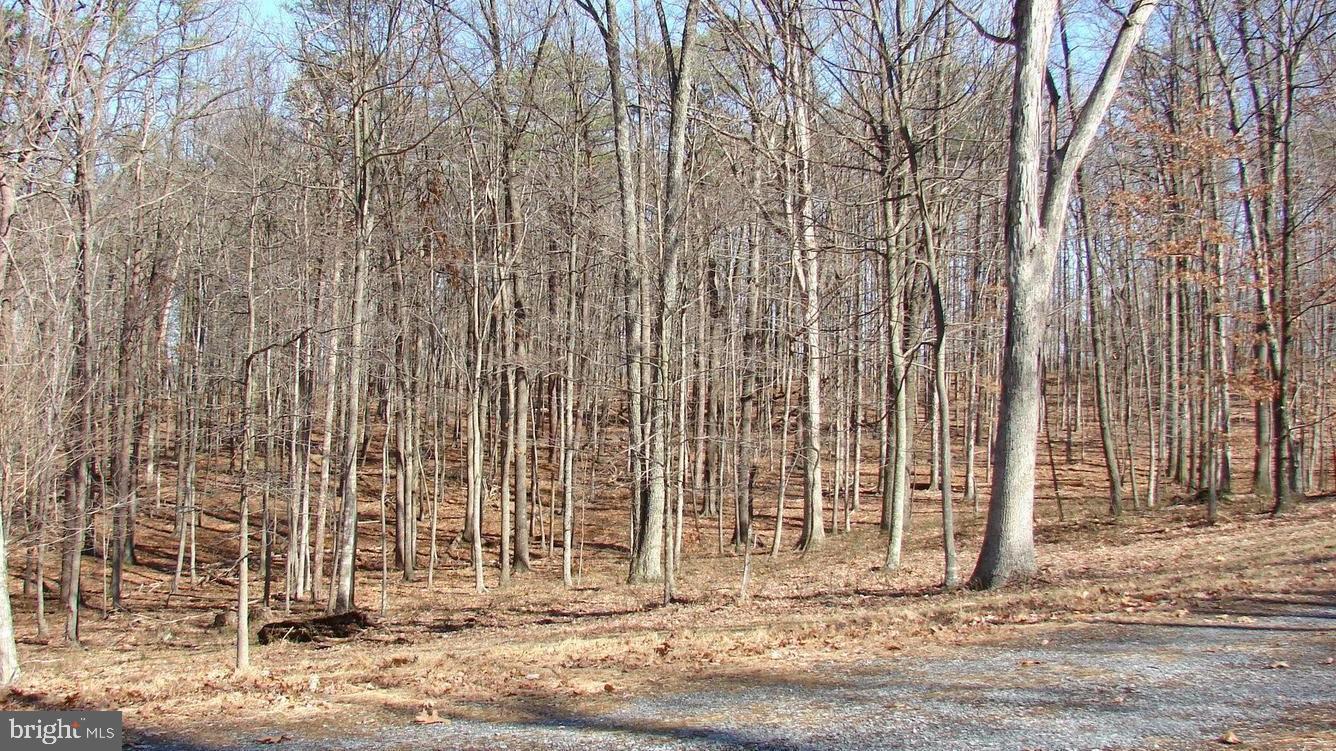 TWIN LAKES EAST - Land