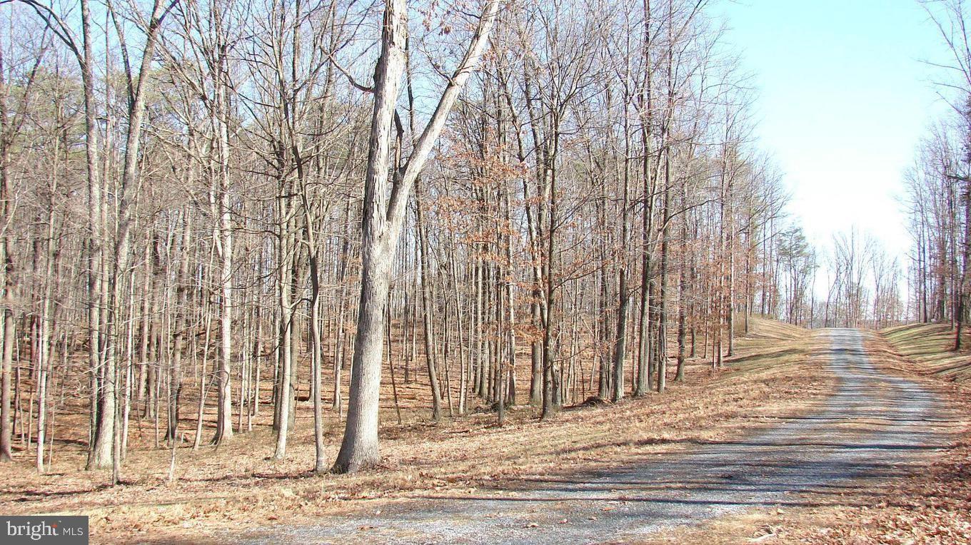 TWIN LAKES EAST - Land