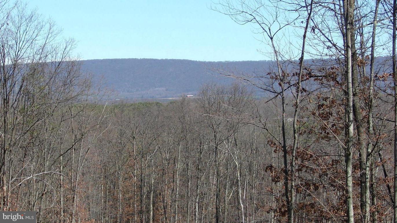 TWIN LAKES EAST - Land