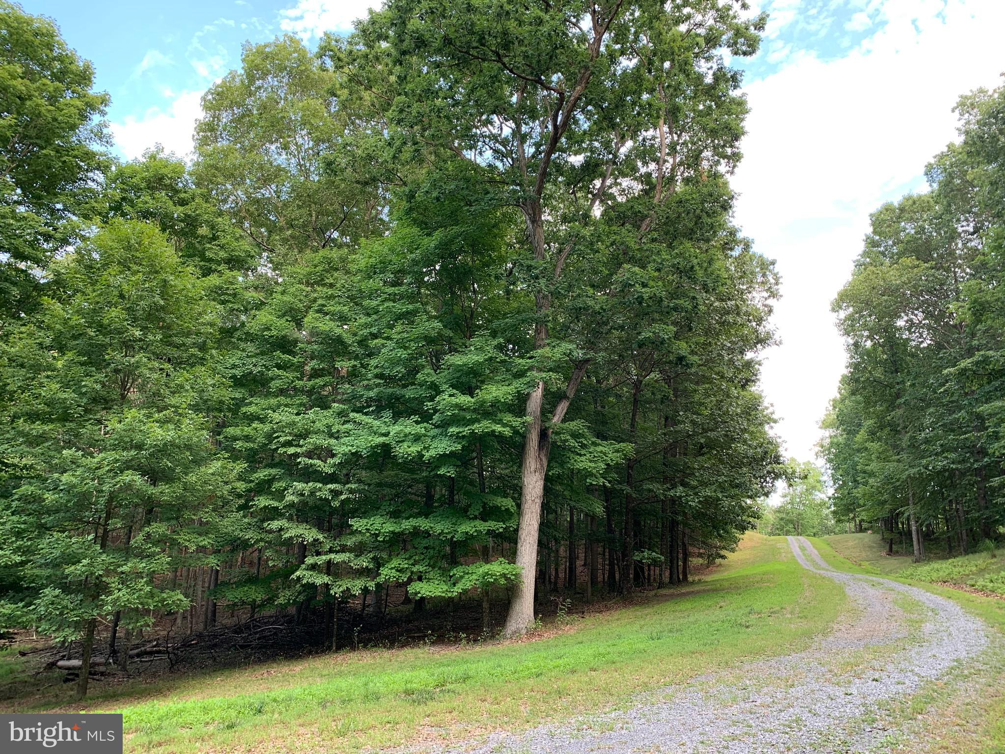 TWIN LAKES EAST - Land