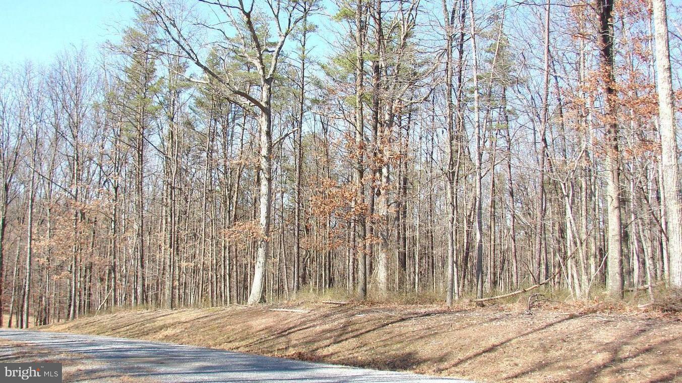 TWIN LAKES EAST - Land