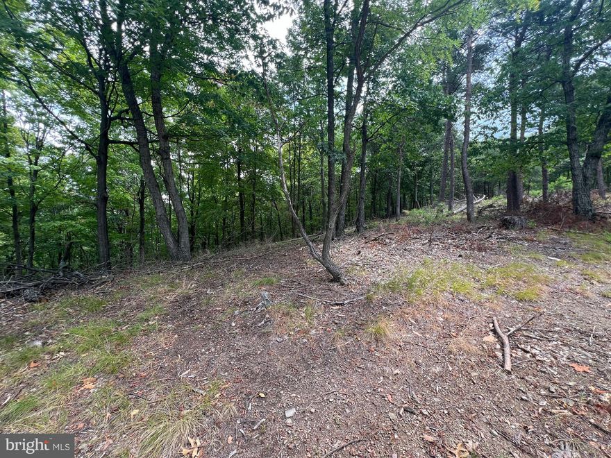 HUNT, BUILD OR CAMP ON THIS BEAUTIFUL WOODED PIECE OF LAND JUST OFF OF TUCKER RIDGE.  
LOTS OF POSSIBILITIES ON THIS UNRESTRICTED PROPERTY JUST WAITING FOR YOU TO MAKE IT WHAT YOU WANT IT TO BE.  CALL TODAY AND SCHEDULE A SHOWING.