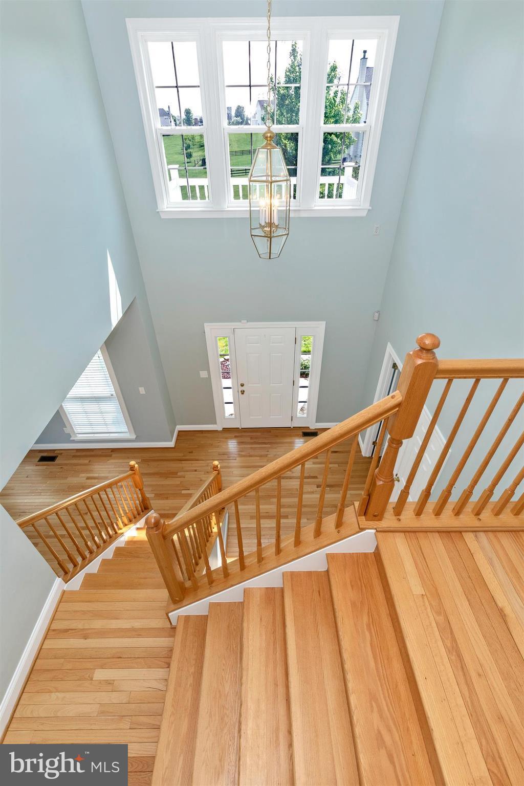 SPRUCE HILL ESTATES - Residential