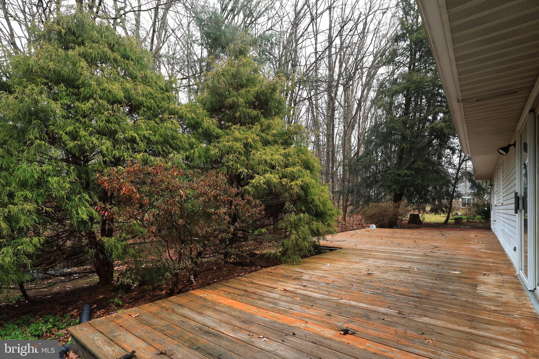 PARK FOREST VILLAGE - Residential