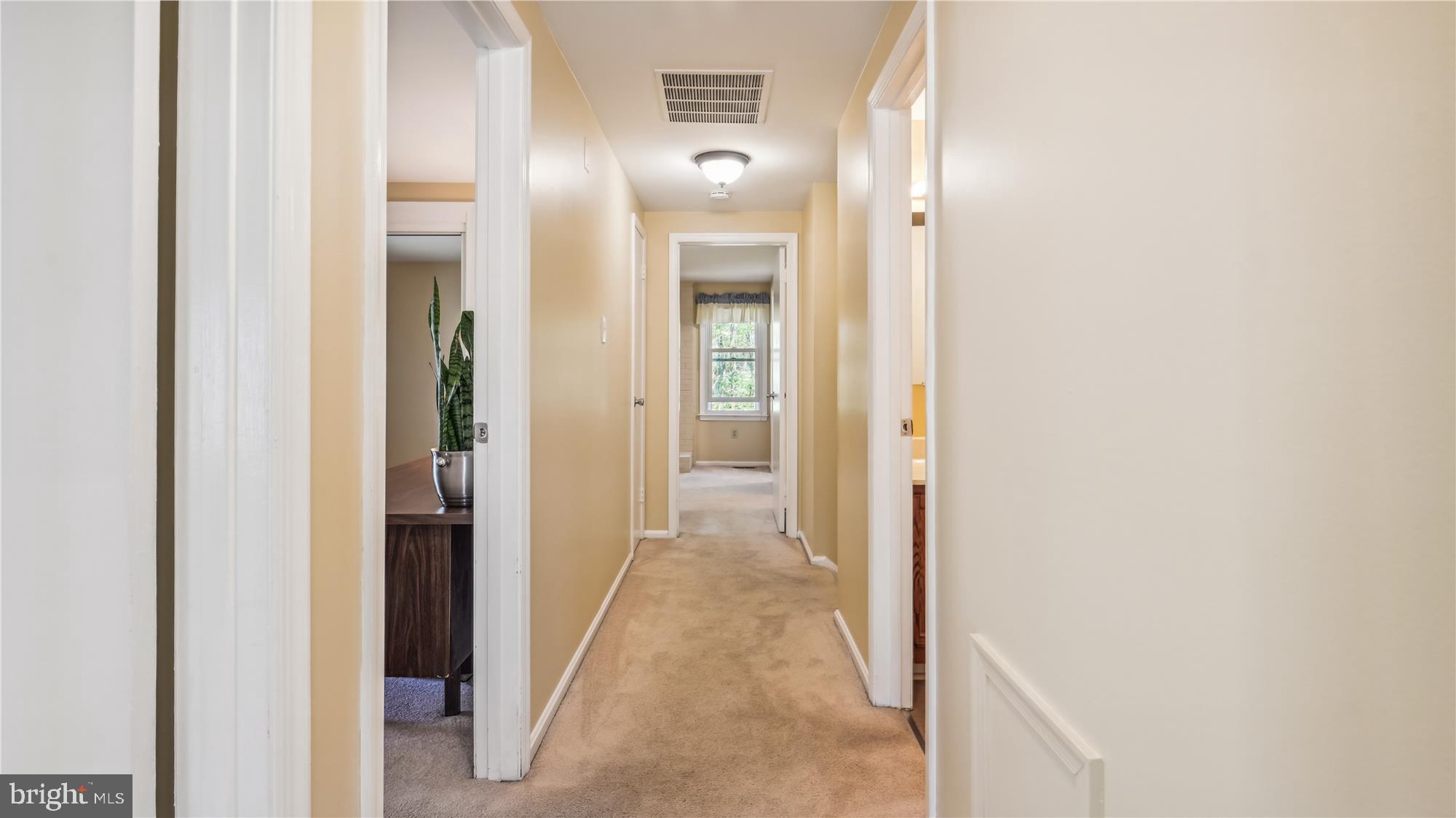 MACGILLS COMMON - Residential