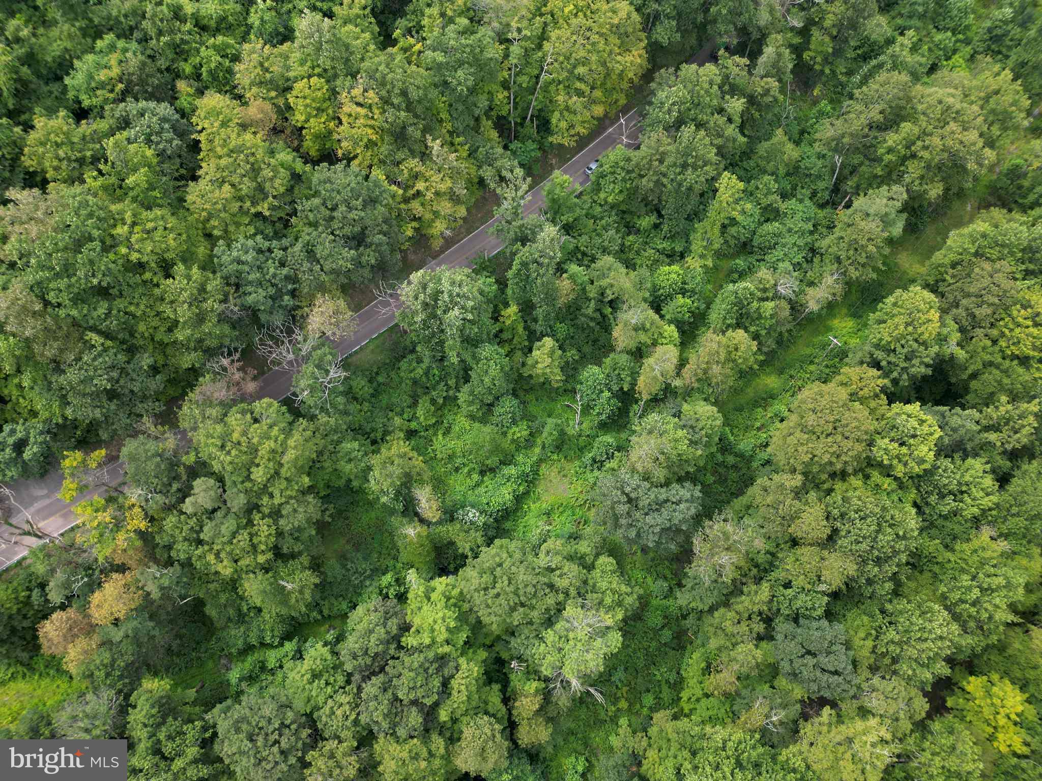 15407 DOUGLAS AVENUE