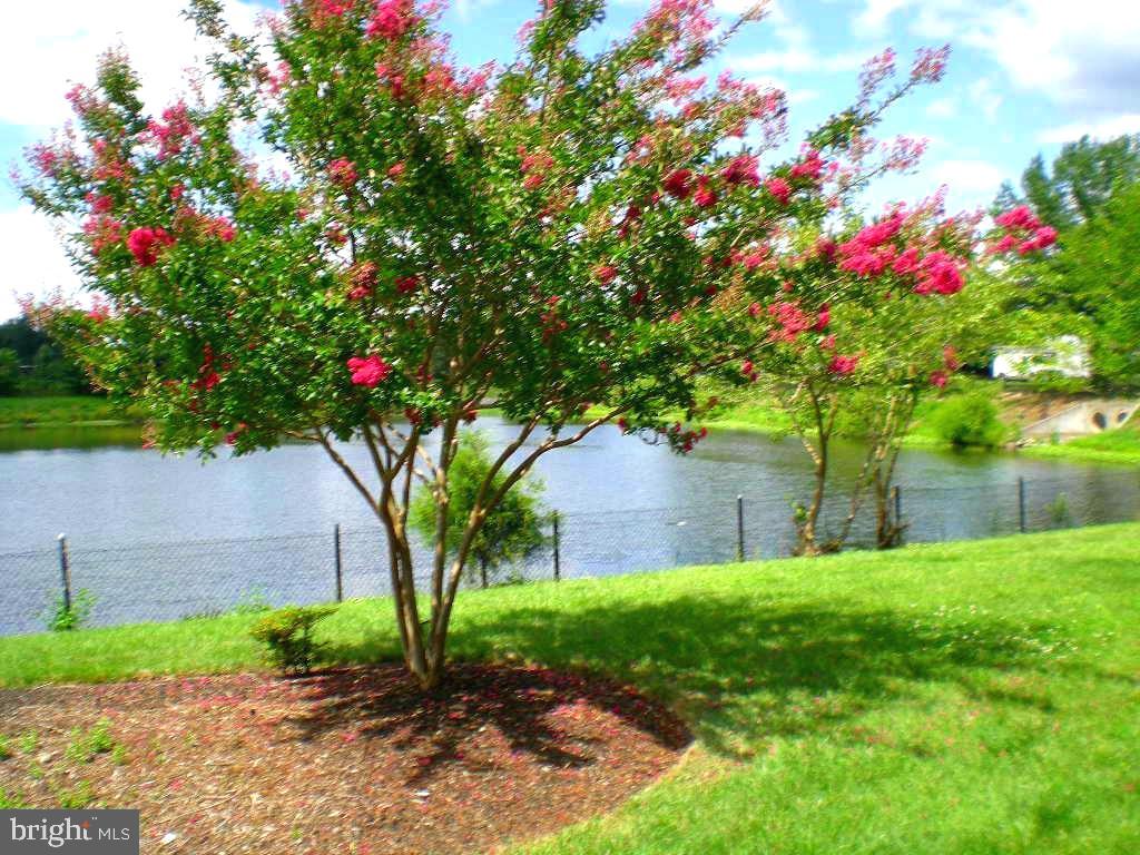 BULL RUN CONDO - Residential