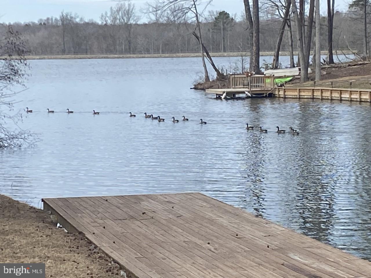 LAKE LAND OR - Residential