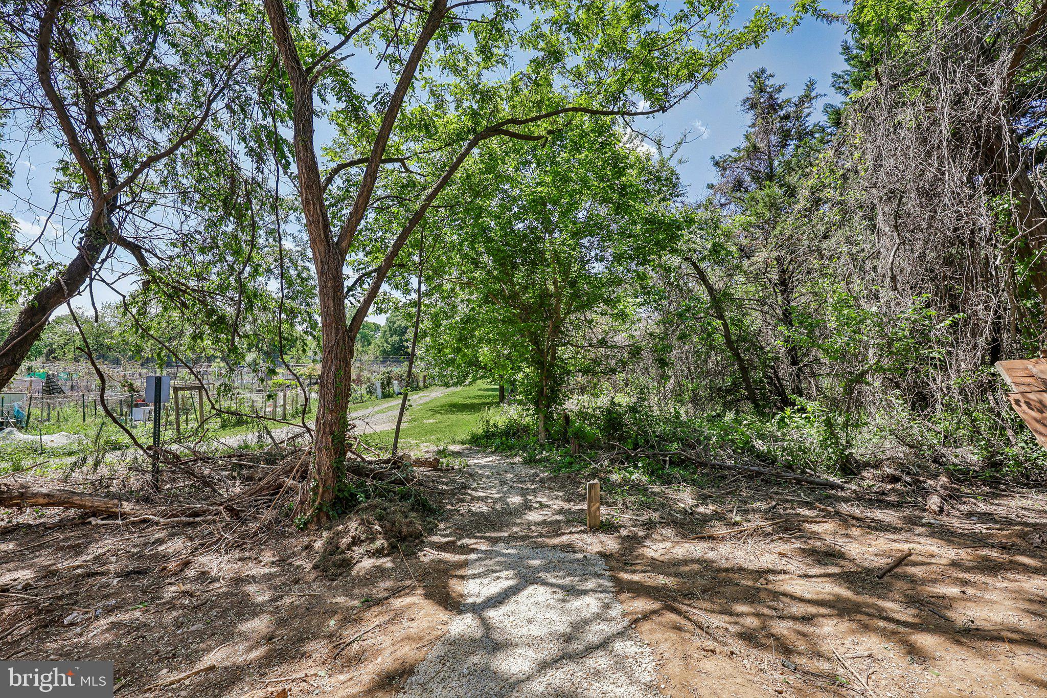 HAMEL HILL - Residential