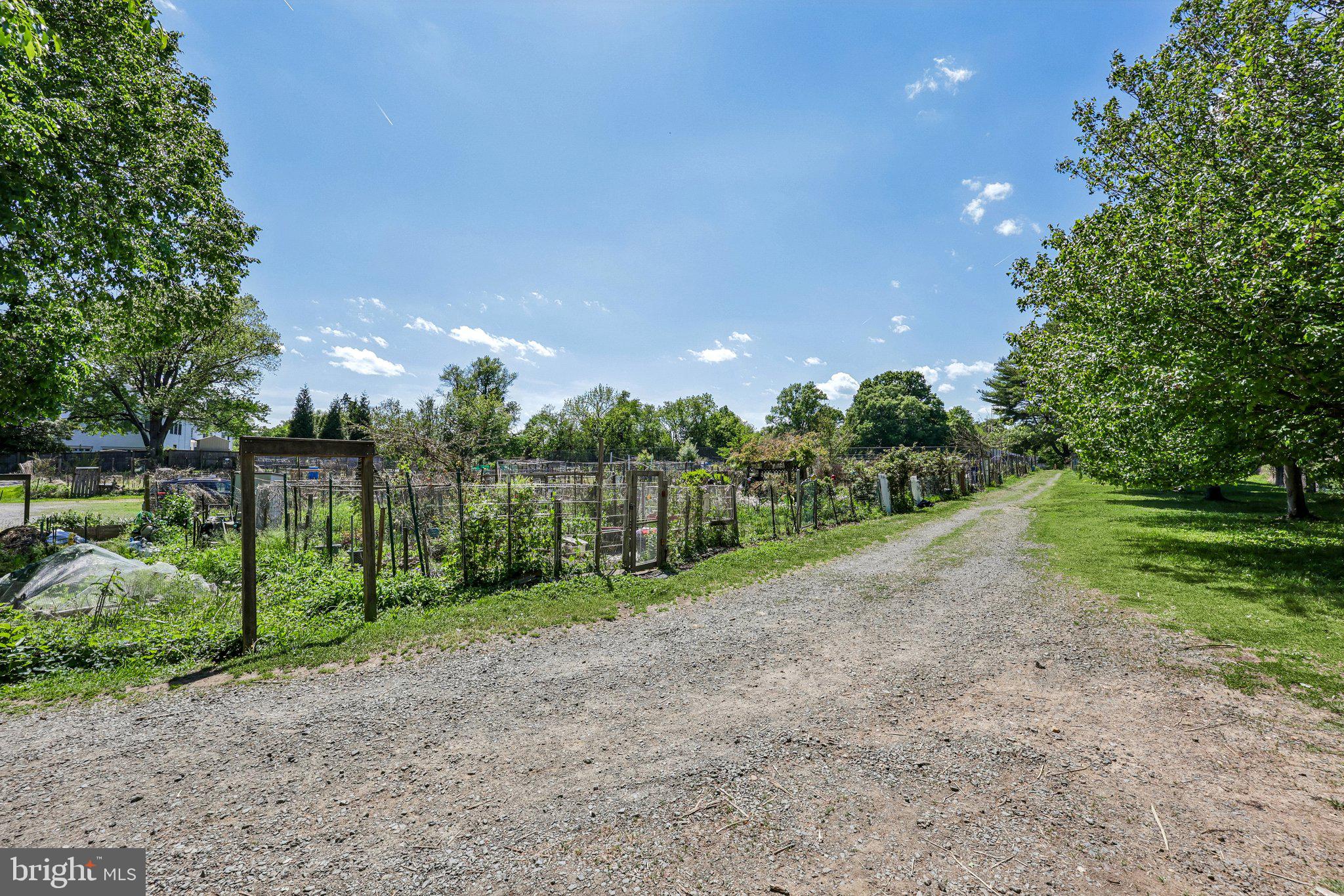 HAMEL HILL - Residential