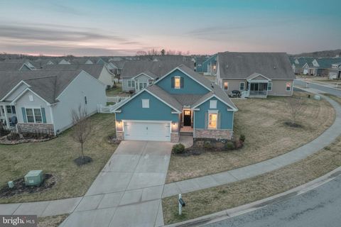 29649 RIVERSTONE DRIVE MILTON DE 19968