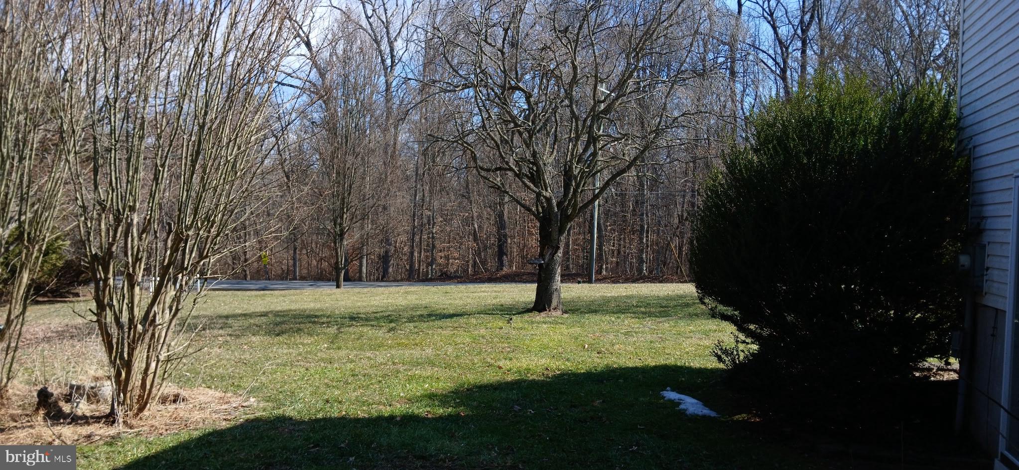 CHELSEA OF NOTTINGHAM - Residential