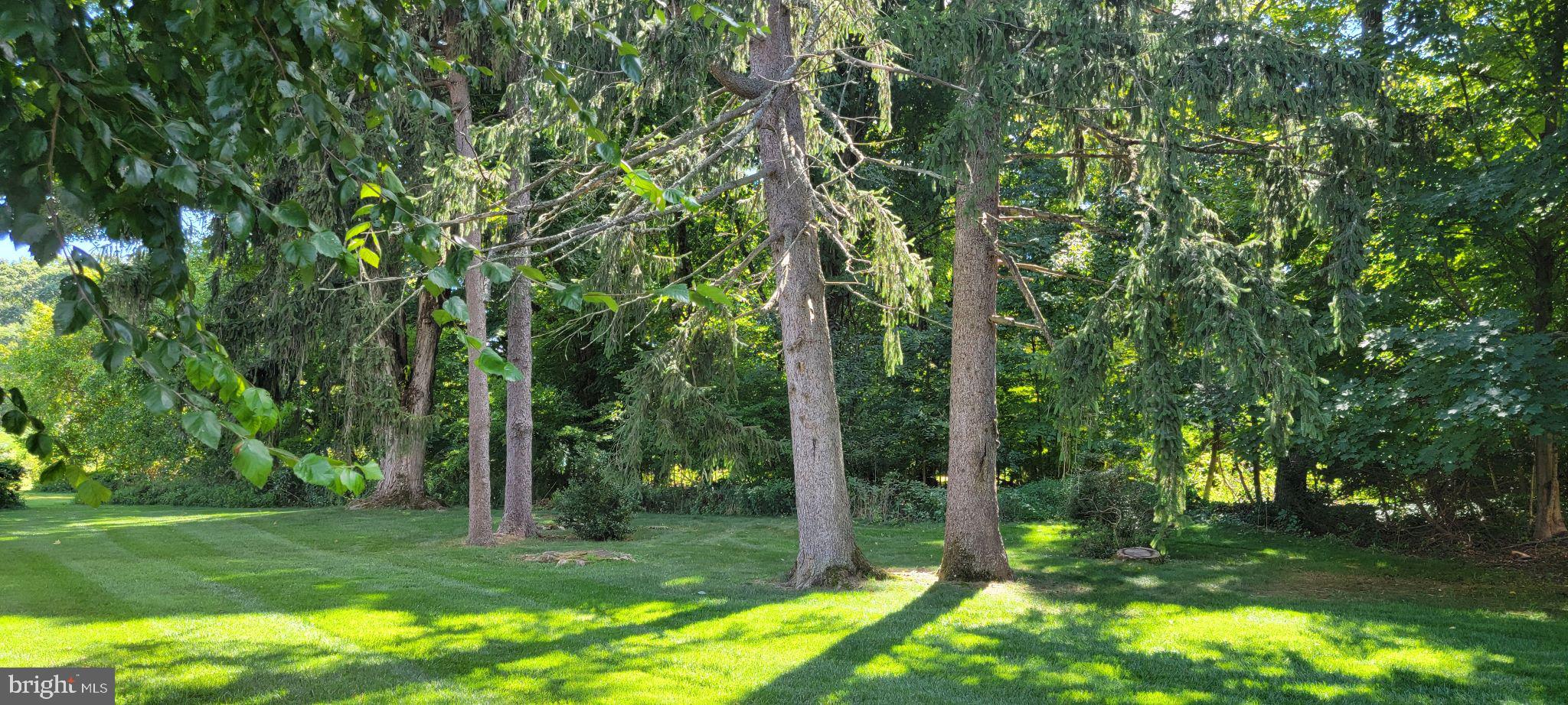 DELAWARE SHORE - Residential