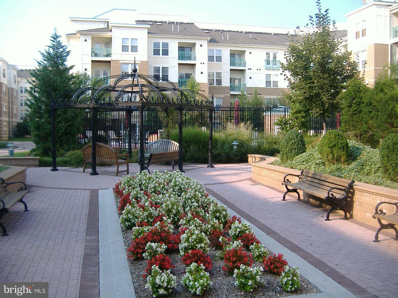 SAVOY AT RESTON TOWN CENTER - Residential Lease