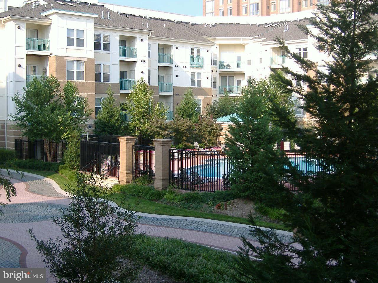 SAVOY AT RESTON TOWN CENTER - Residential Lease