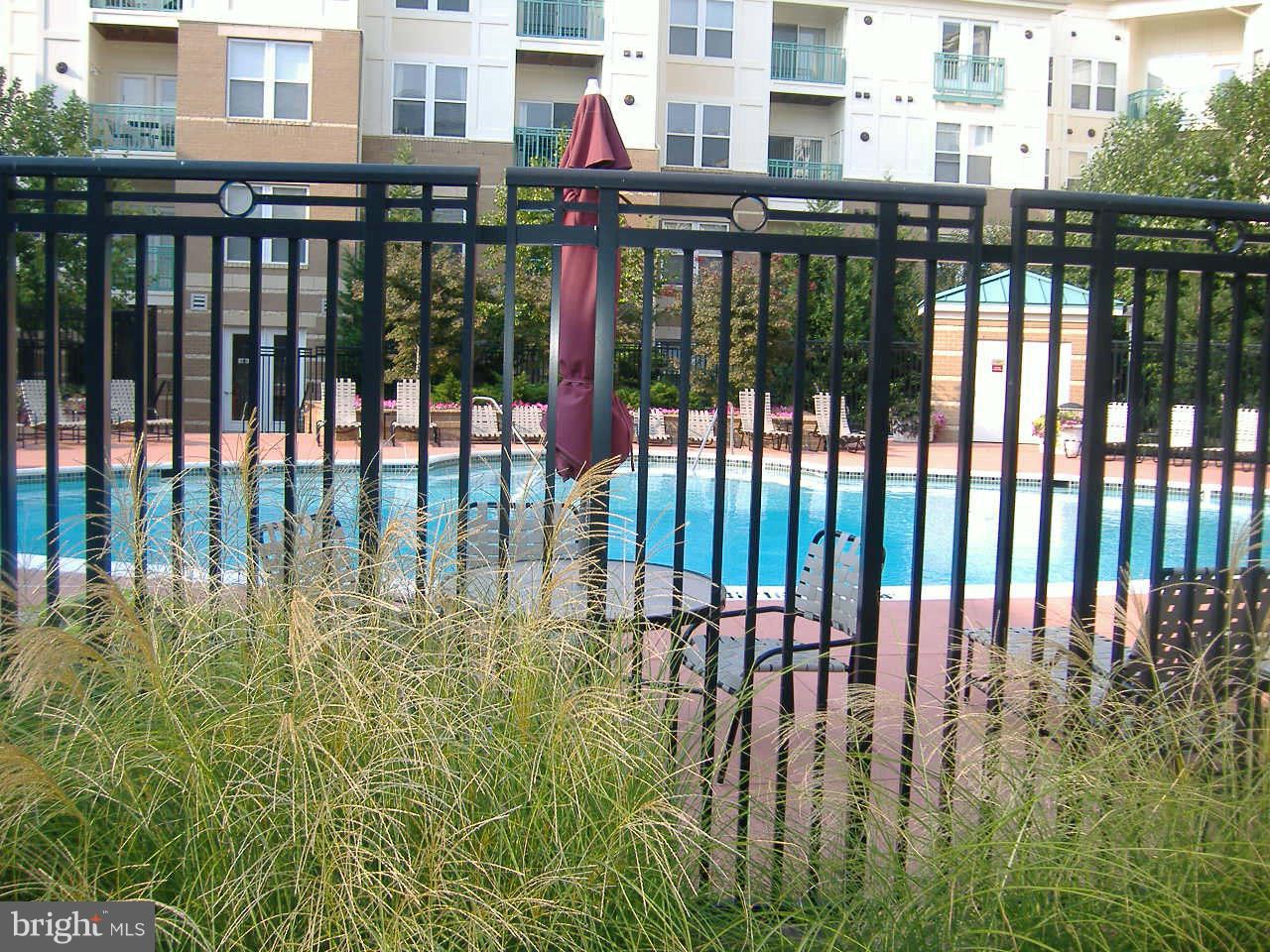 SAVOY AT RESTON TOWN CENTER - Residential Lease