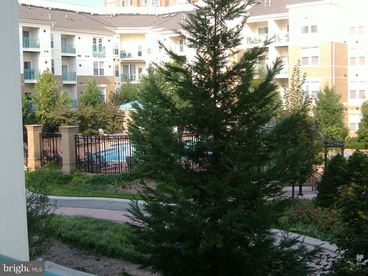 SAVOY AT RESTON TOWN CENTER - Residential Lease