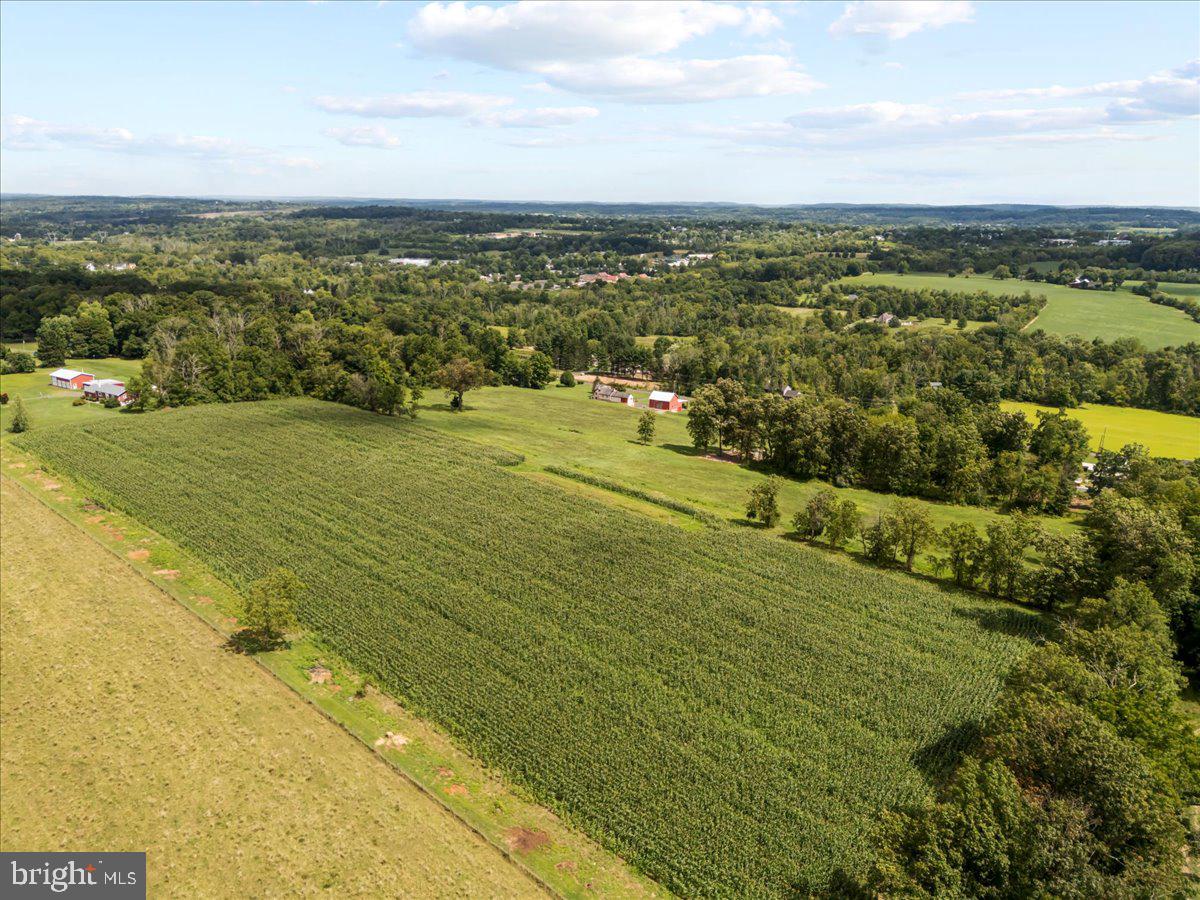 4099 CURLY HILL ROAD
